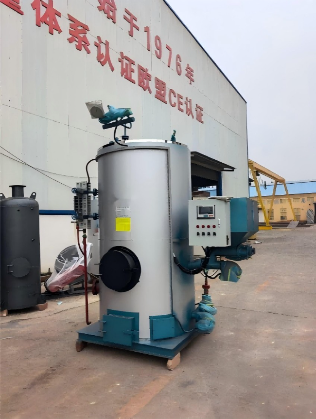 鞍山新疆塔城1吨燃煤生物质蒸汽发生器水泥制品蒸养